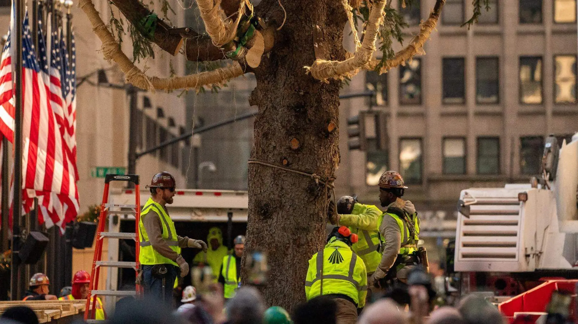 árbol de navidad en NY